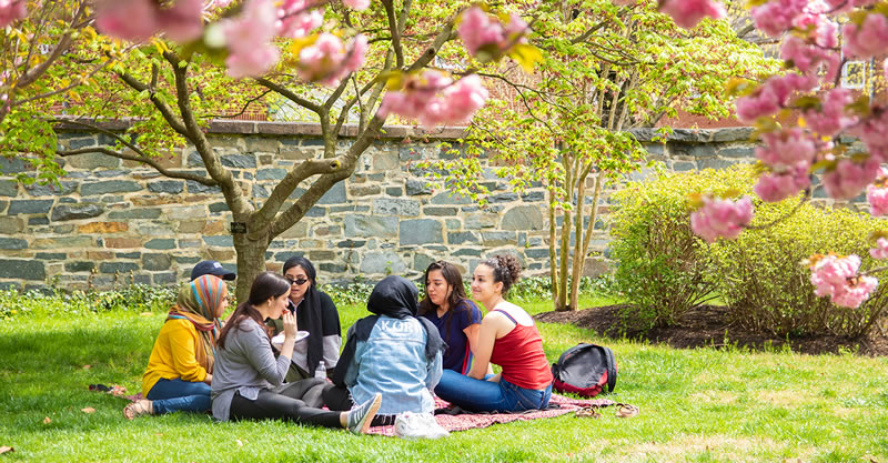 Feature Experiential Learning Collaboration Feature Experiential Learning Collaboration